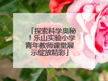 探索科学奥秘！乐山实验小学青年教师课堂展示绽放精彩